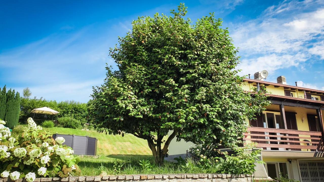 Gardenpark Soleil Villa Nebbiuno Exterior foto